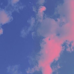 Meet your Posher, Elysia